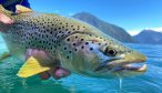 Brown trout in Chile at fly fishing lodge