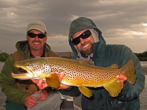 Monster Madison Brown