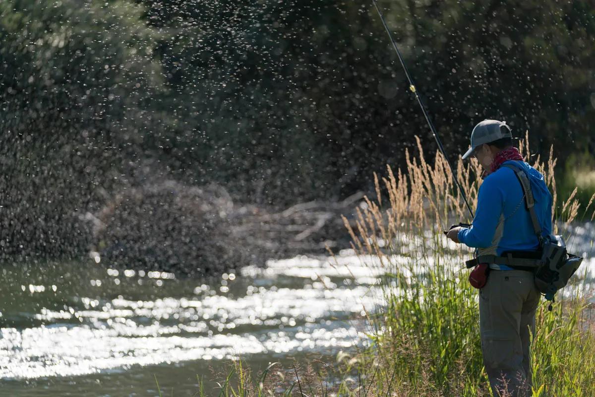 The Trico mayfly hatch on the Ruby River in August is the stuff of angler's dreams