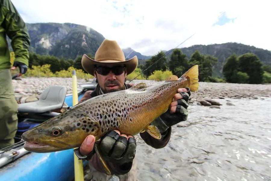 We landed several nice browns on the lower river and lost some monster fish that will leave us wondering!