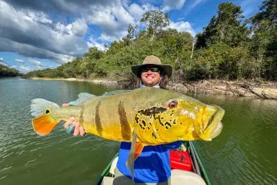 Big Peacock Bass in Brazil