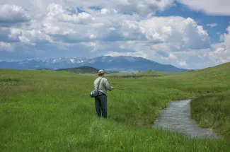 Spring Creek fishing in Montana