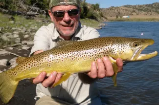 Catching brown trout in the summer time in Montana
