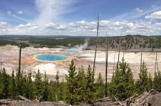 geysers and pools in YNP
