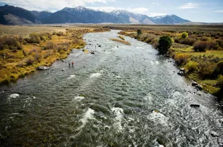 Fly Fishing and wading on the Madison River