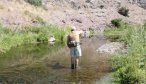fishing montana
