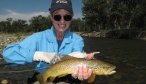 sweet grass creek brown trout