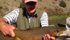 guided fly fishing trips
