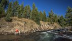 fishing small streams in Yellowstone Park