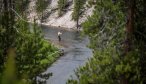 Yellowstone Park fishing guide