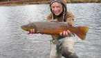 Montana Angler, Yellowstone River Fly Fishing