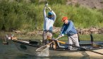 Bottom of the net on the Yellowstone River