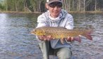 Mongolia trout