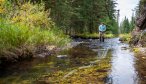 Small stream private access fishing in Montana