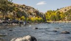 Fly Fishing in Yellowstone Park on the Yellowstone River