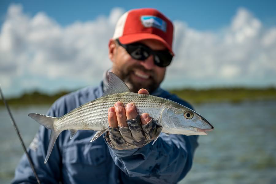 An average South Andros bonefish