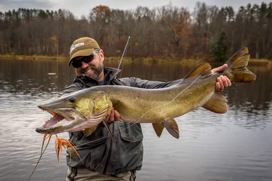 A Monster Musky on the Fly!