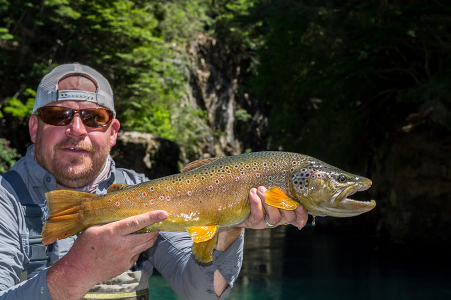 Chilean brown trout are just as beautiful as the waters the swim in