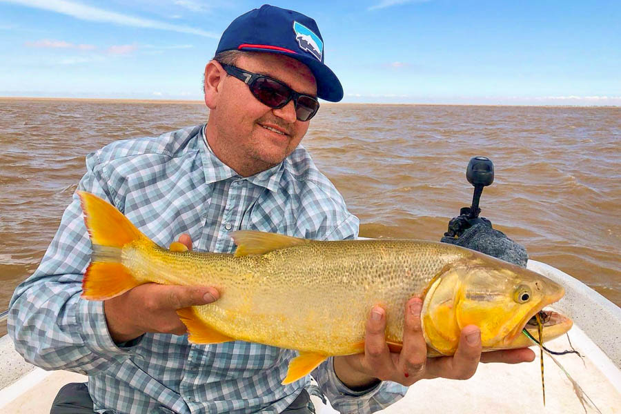 My first golden dorado caught while fishing the Rio Plata near Buenos Aires!