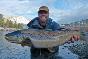 Montana Brown Trout