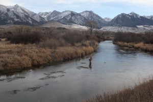 mothers day caddis at DePuy spring creek