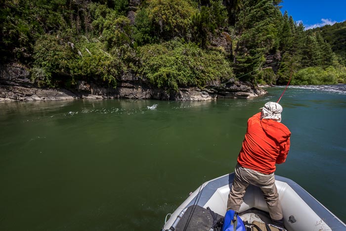 Dry fly fishing in Chile