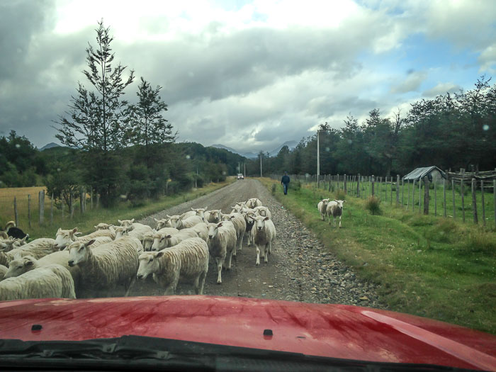 Patagonia Traffic Jam
