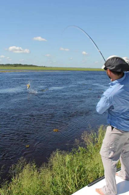 Patagonia Trout 2013 Argentina Report