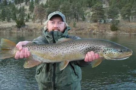 Fly Fishing Montana In November Produces Big Results