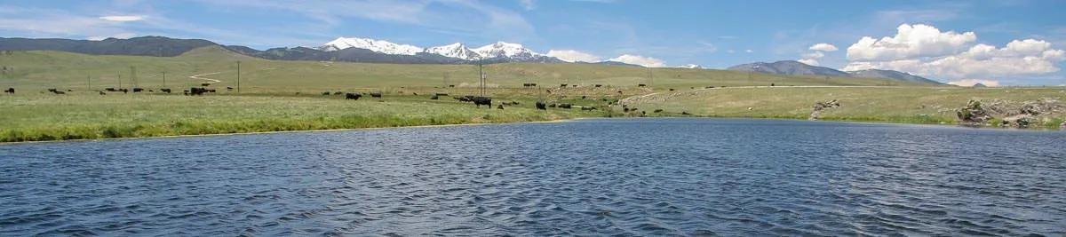 Montana lakes fishing report