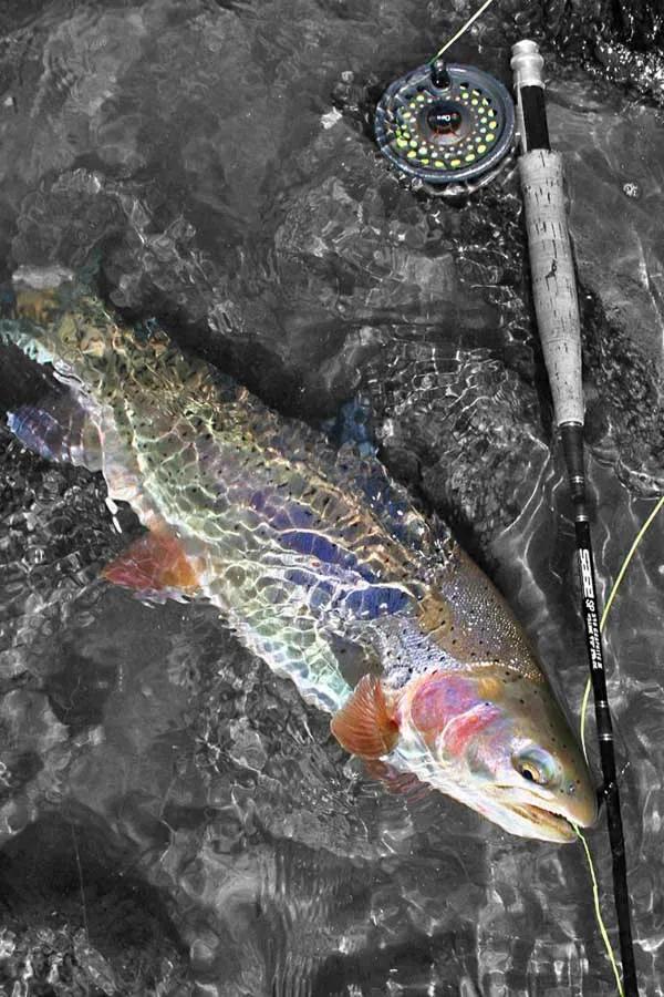 fishing in montana winter fishing