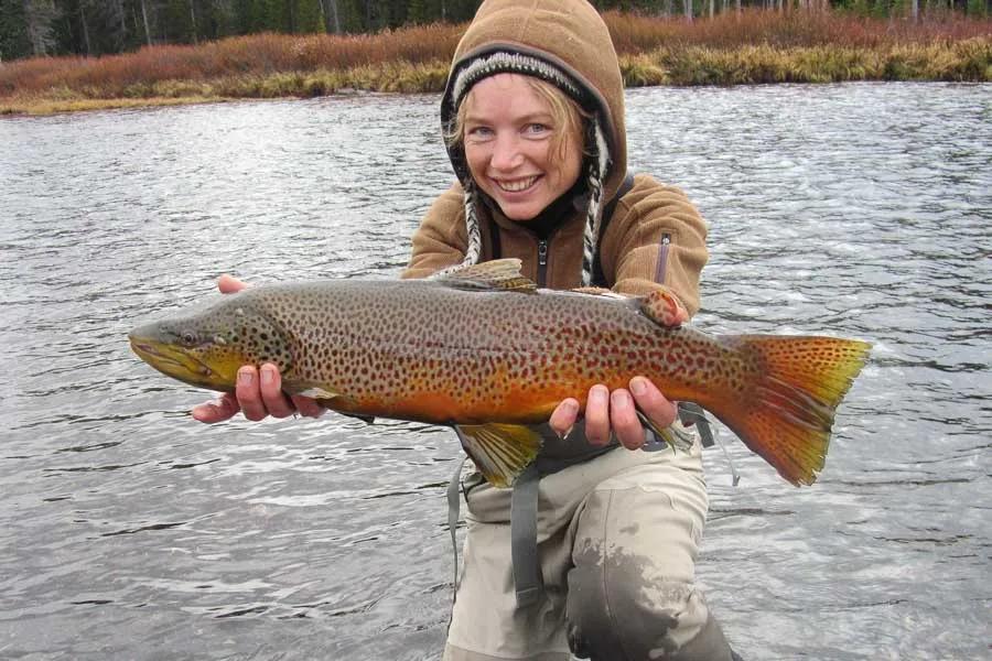 Fly Fishing Montana Brown Trout Montana November Brown Trout