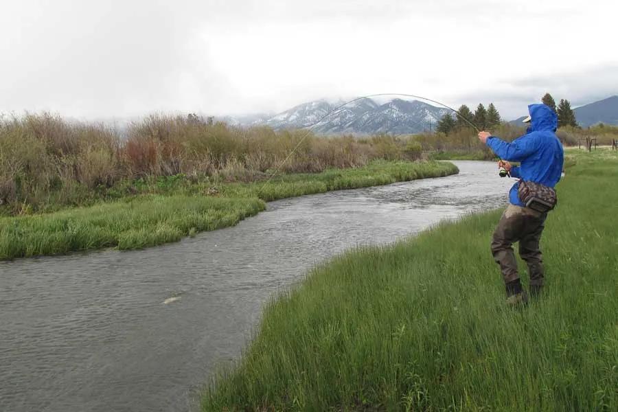 Montana Spring Creek Fishing March Fly Fishing