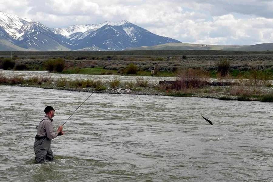 Montana Fishing in April