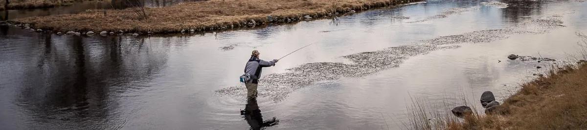 Fly fishing Montana's spring creeks
