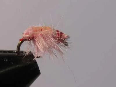 Pink Ray Charles Winter Fly Fishing Montana Pink Ray Charles
