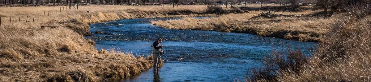 Spring creek fishing report