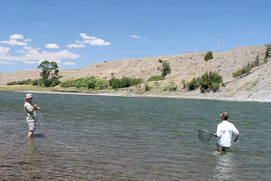 Fly Fishing for Carp Montana Fly Fishing For Carp