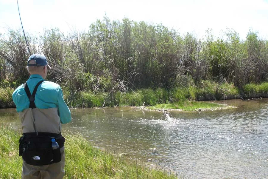 fly fishing montana