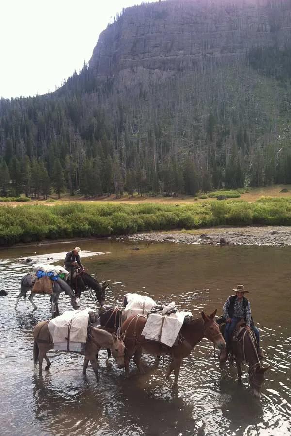 Yellowstone Park Pack Trip A pack trip is an even better way to beat the crowds!
