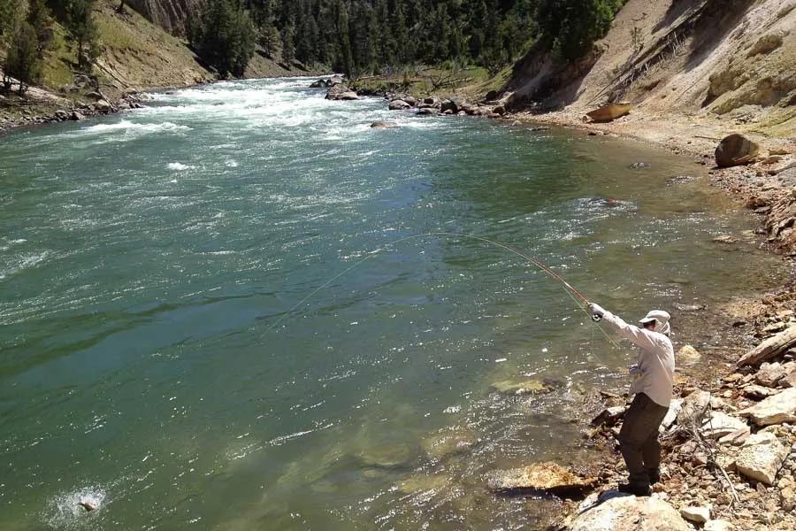 YNP Hooked up on the Yellowstone