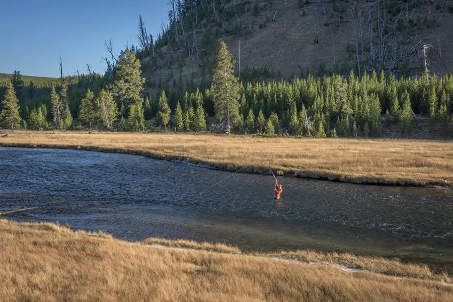 Madison River in Yellowstone Park Madison River in Yellowstone Park
