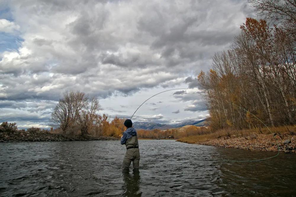 Introduction to Trout Spey Fishing in Montana