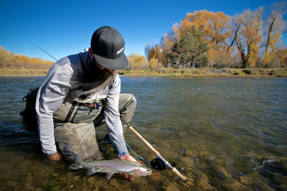 The Best Trout Spey Flies for Montana