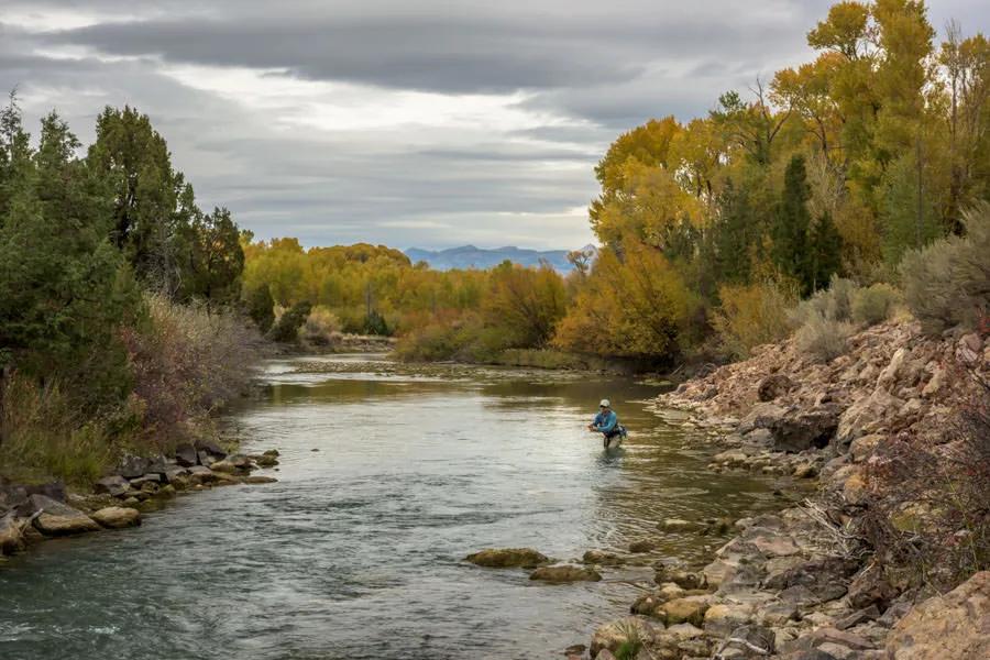 Some likely looking holding water on a small stream in the heart of Montana.