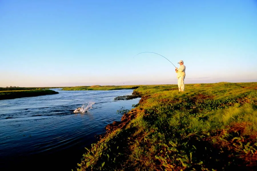 dorado fly fishing
