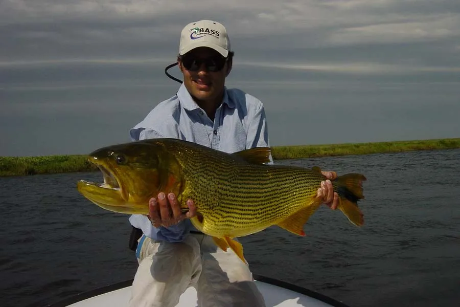 fly fishing trips guided