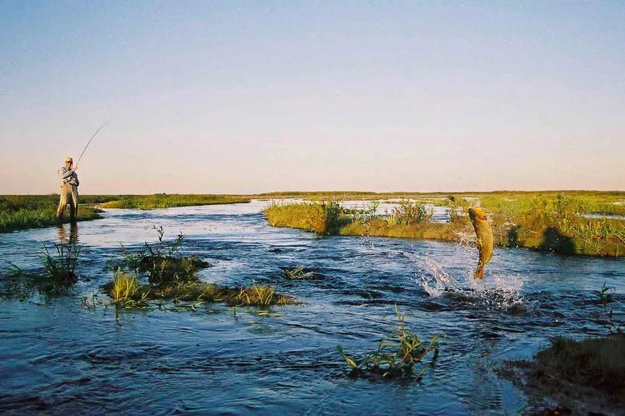 guided fly fishing