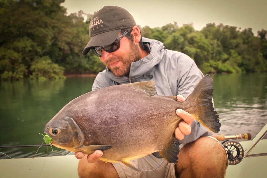 fly fishing for Pacu