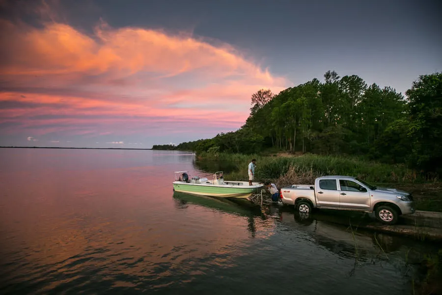 Parana river dorado